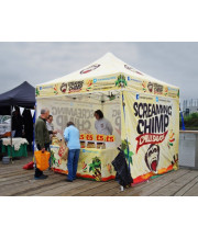 Sublimation toiture + auvents anti-pluie
